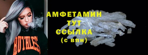 мдпв Магас