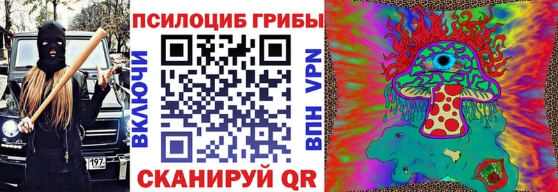 kraken ссылки  Сухой Лог  Псилоцибиновые грибы прущие грибы 