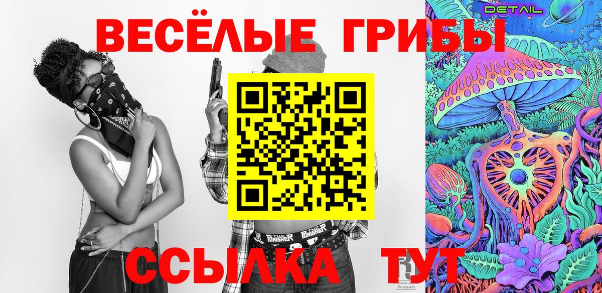 Сухой Лог  Псилоцибиновые грибы мицелий  Вход с VPN 